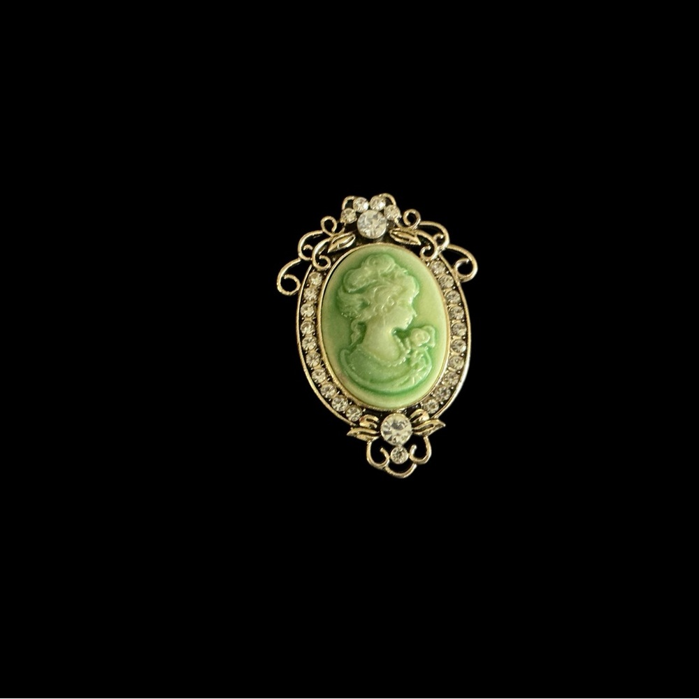 Vintage-Inspired Cameo Brooch Trendy 2026 NWT